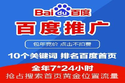 百度SEO推广案例解析与效果评估